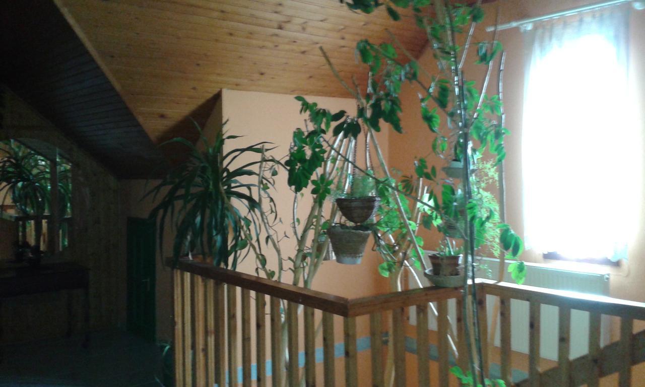 Bed and Breakfast Kisdiofa Panzio Es Vendeglo Vajdacska Экстерьер фото